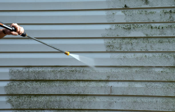 Best Sidewalk and Walkway Cleaning  in Ridgely, TN