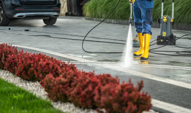 Best Restaurant Pressure Washing  in Ridgely, TN